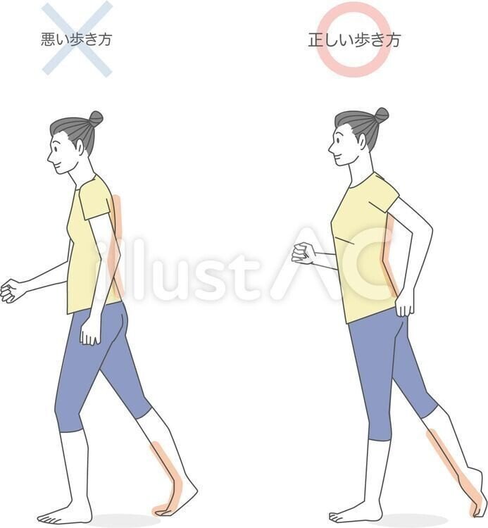 新作 イラスト無料材 ストレッチ 歩き方 無料 イラスト無料提供中 一部有料 Note