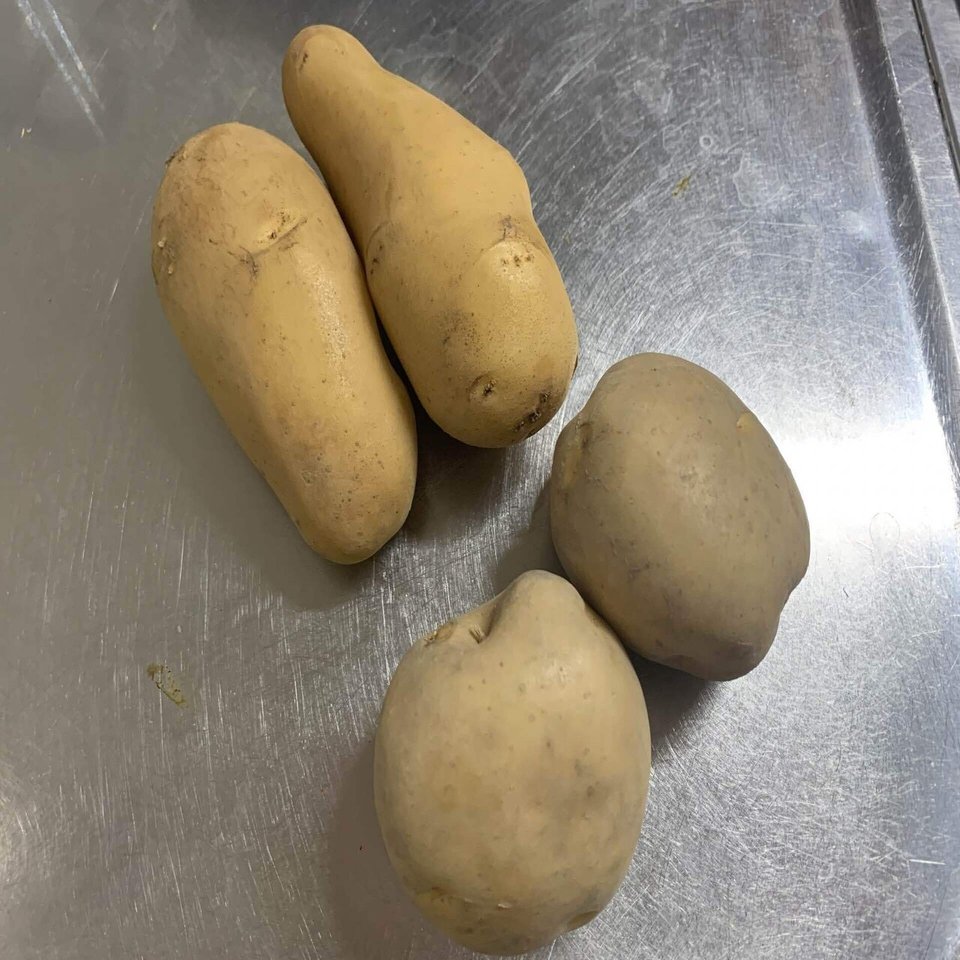とにかくqolを向上したい人の狩人風チキン煮込みと世界一フライポ とにかく食でqolを向上したい人のブログ Note