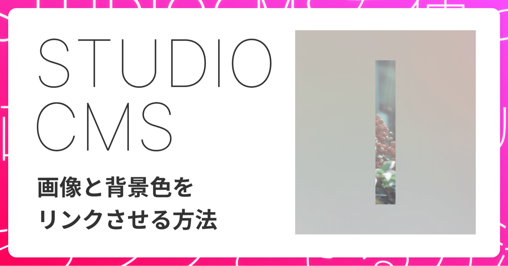 STUDIO CMSを使って、画像と背景色をリンクさせたい記事｜いっちゃの 