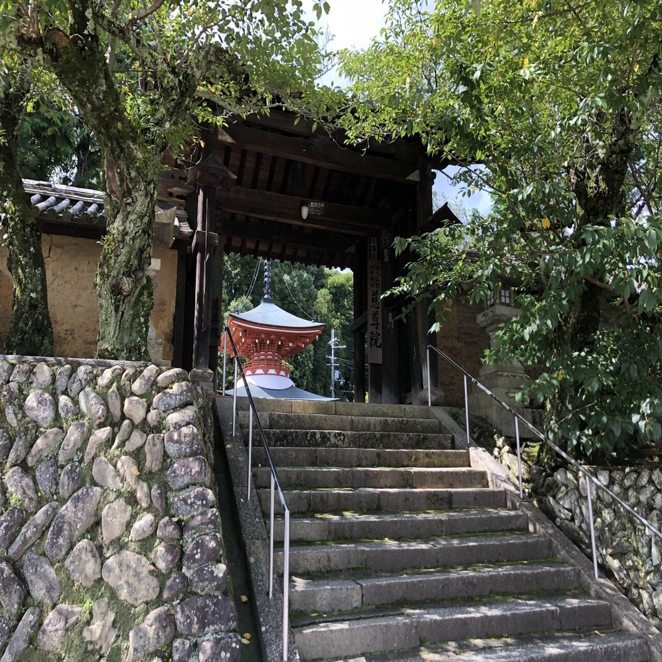 中院三十三尊 高野山 中院三十三尊 高野山 中院三十三尊 高野山