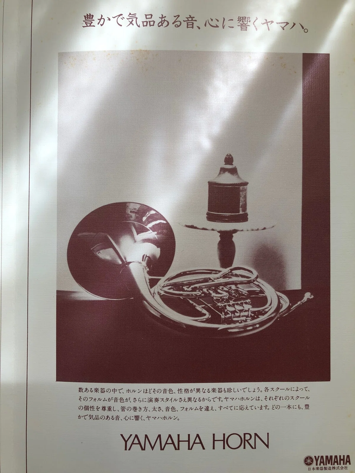 画像12