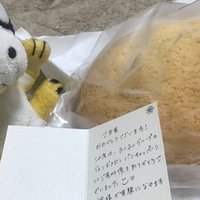 ポケモン デオキシス アタックフォルムの最強育成論 タヌト Note