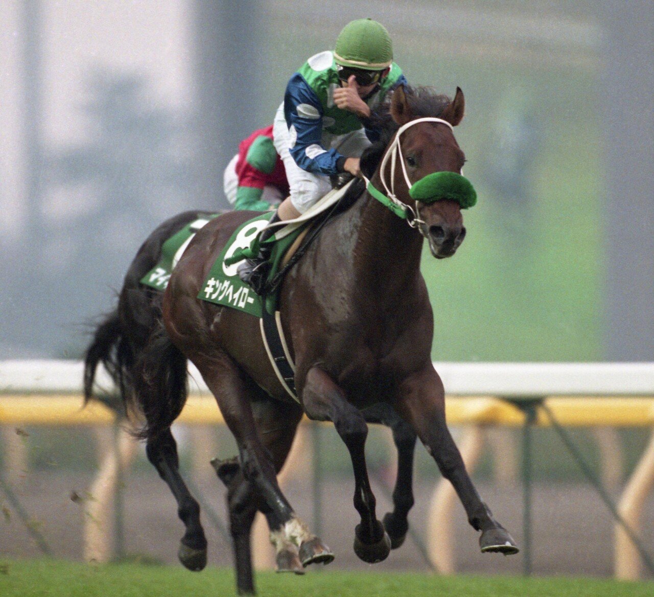 ウマ娘 では良家のお嬢様 ファンも振り回された不屈の名馬 キングヘイローのg ロードを 東スポ で振り返る 東スポnote ウマ娘 では良家のお嬢様 ファンも振り回された不屈の名馬 キングヘイローのg ロードを 東スポ で振り返る 東スポnote