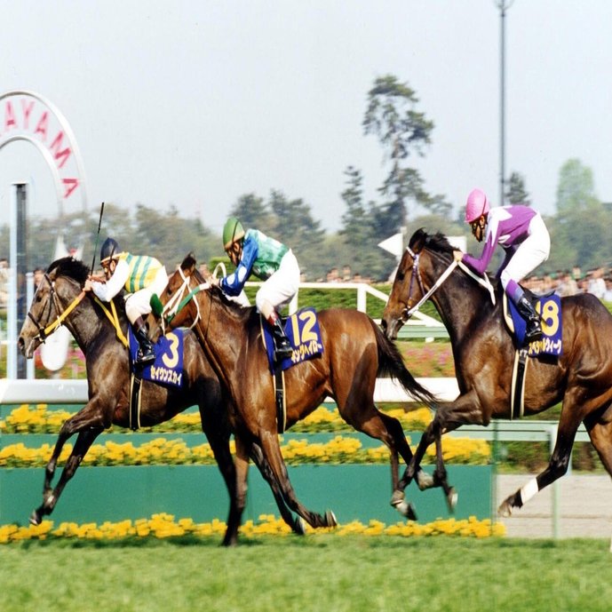 ウマ娘 では良家のお嬢様 ファンも振り回された不屈の名馬 キングヘイローのｇ ロードを 東スポ で振り返る 東スポnote