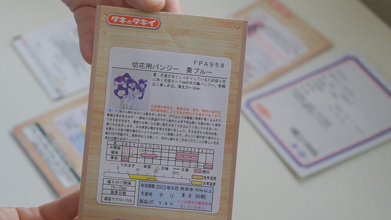 種から育てるパンジービオラ21 ゆかこ Note