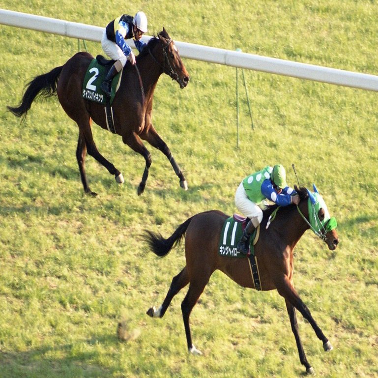 ウマ娘 では良家のお嬢様 ファンも振り回された不屈の名馬 キングヘイローのｇ ロードを 東スポ で振り返る 東スポnote