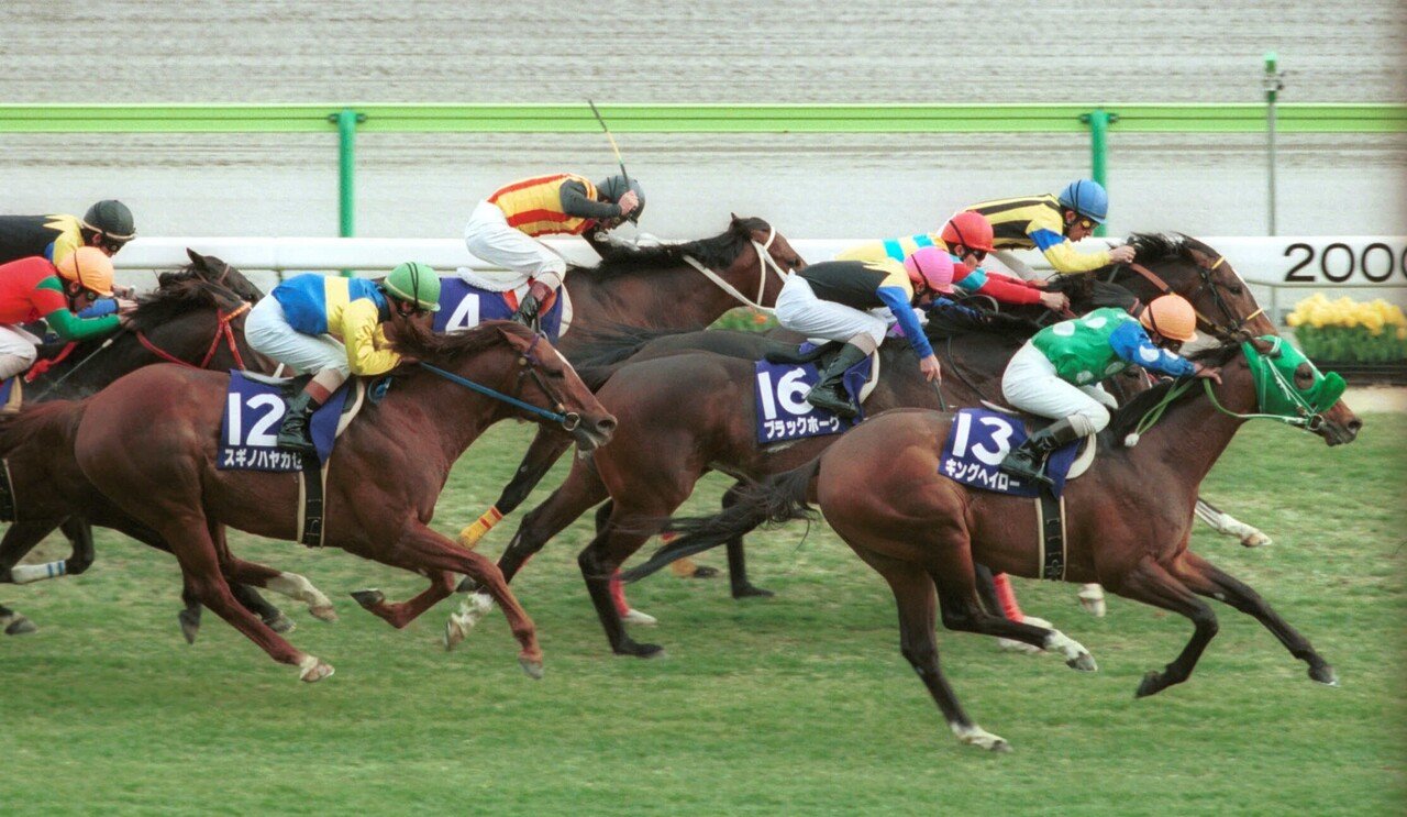 ウマ娘 では良家のお嬢様 ファンも振り回された不屈の名馬 キングヘイローのg ロードを 東スポ で振り返る 東スポnote ウマ娘 では良家のお嬢様 ファンも振り回された不屈の名馬 キングヘイローのg ロードを 東スポ で振り返る 東スポnote