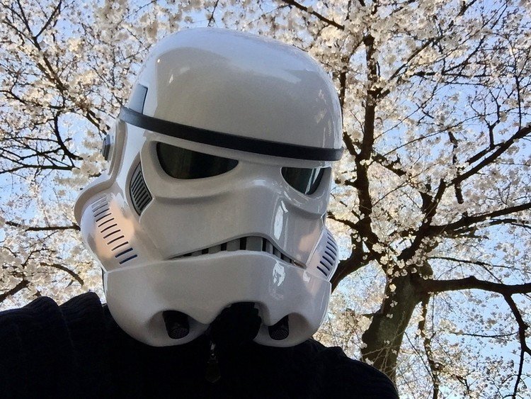 #starwars #stormtrooper #trooper #selfie #selfietrooper #selfietrooperjp #スターウォーズ #ストームトルーパー  #セルフィー #セルフィートルーパー #自撮り #最後のジェダイ #お花見 #桜 #cherryblossom #春 #spring #thelastjedi