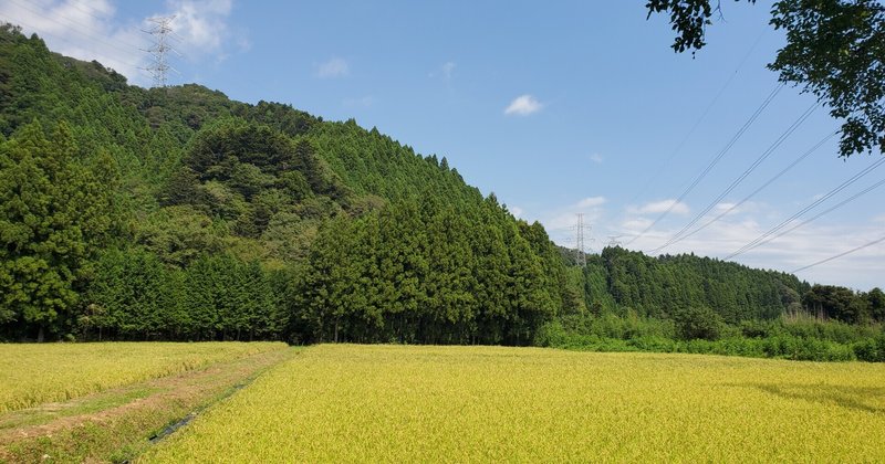 農作業をすると体調が良くなる Sato Aki 道平農園 Note 農作業をすると体調が良くなる Sato Aki 道平農園 Note