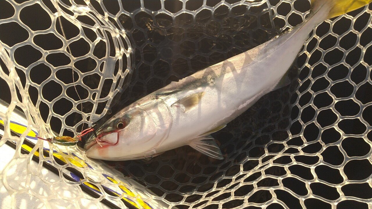 パドラーナS56/59 LIGHT インプレ｜フクシマ アキラ