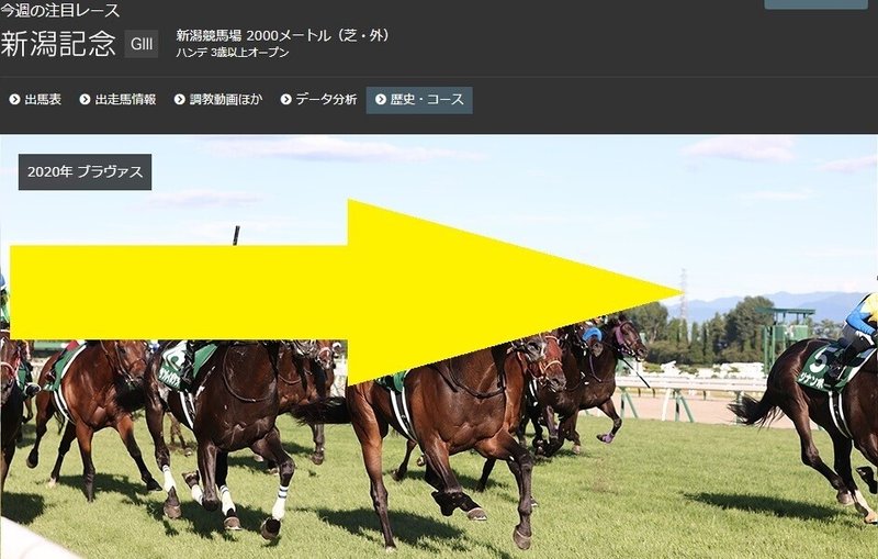 Codoc 新潟記念 小倉2歳ステークス 丹頂ステークス21サイン予想記事 新潟記念の画像 Jraカレンダー9月 歴代jraオリジナル壁紙カレンダーの仔馬 小倉2歳ステークスの画像のサイン考察 コードク