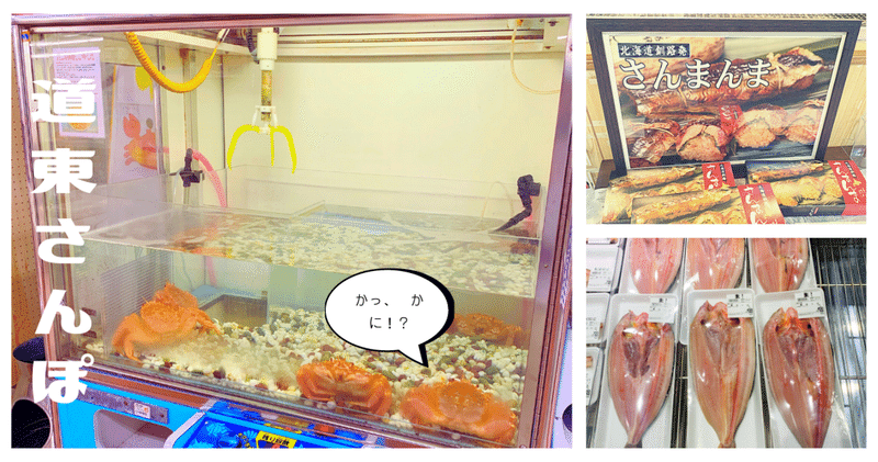 【道東さんぽ】 「北海道ならではのお土産」を探して。釧路散策で出会った海鮮土産と謎のUFOキャッチャー