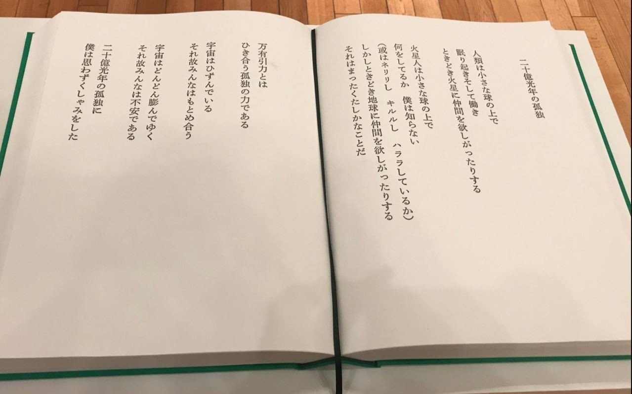 詩をどう読むか 3174jeq-kKL.jpg_BO30,255,255,