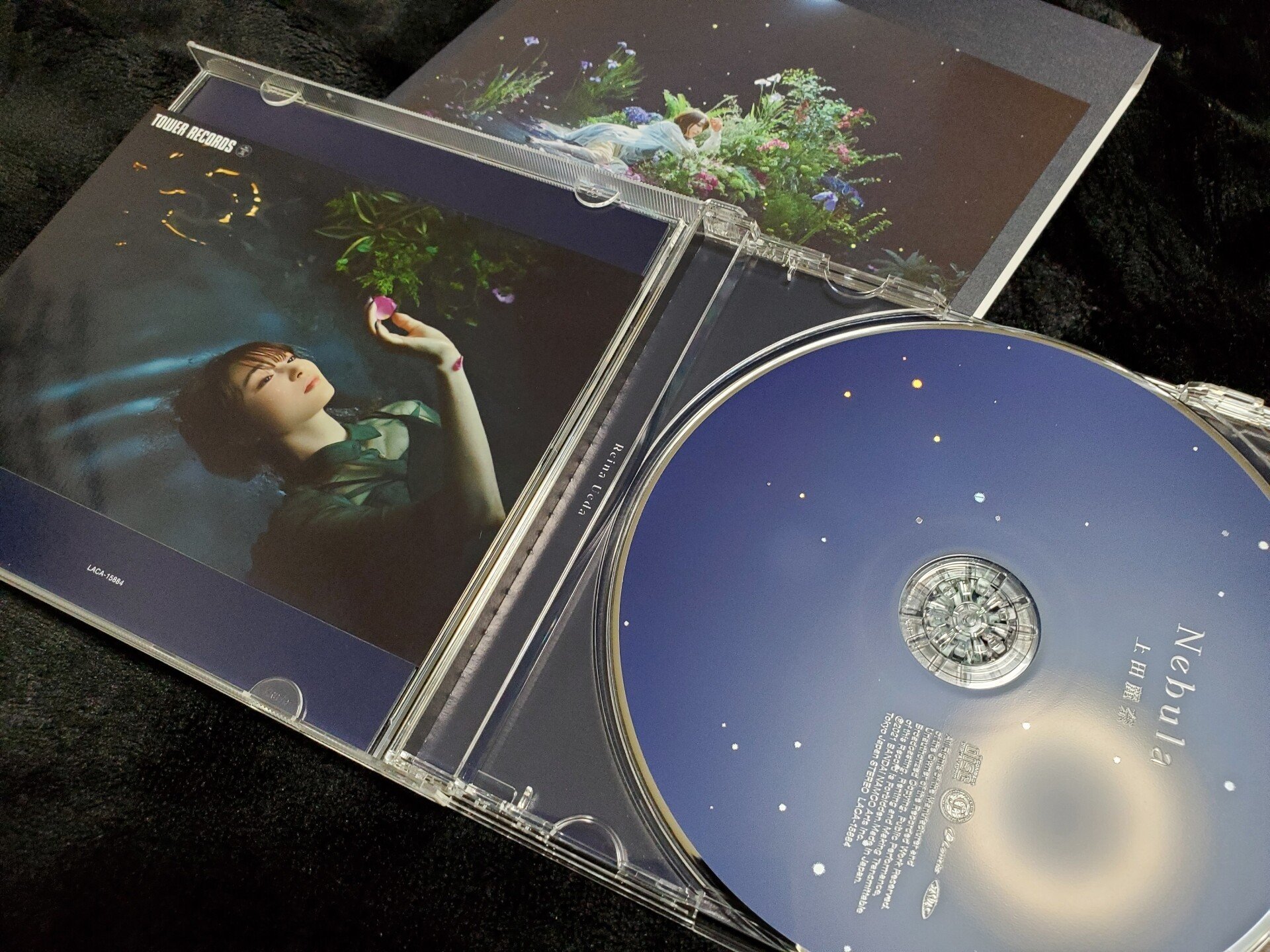 上田麗奈 Nebula 記念パネル hqdefault.jpg