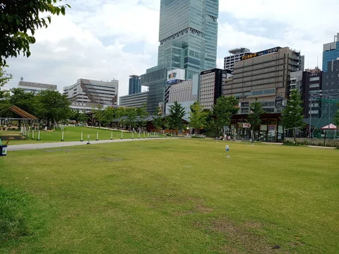 画像8