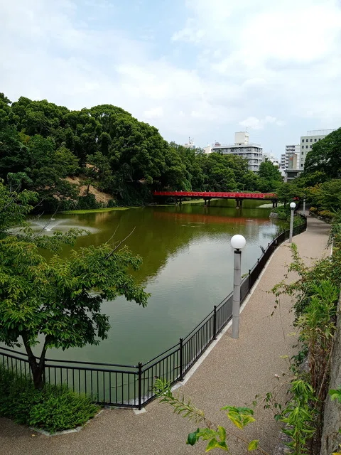 画像10