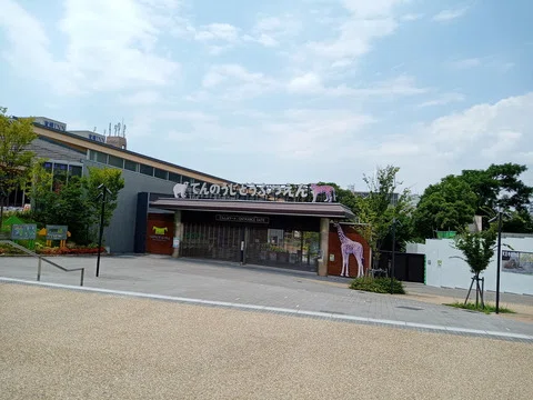 画像31