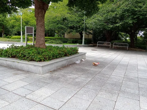 画像33