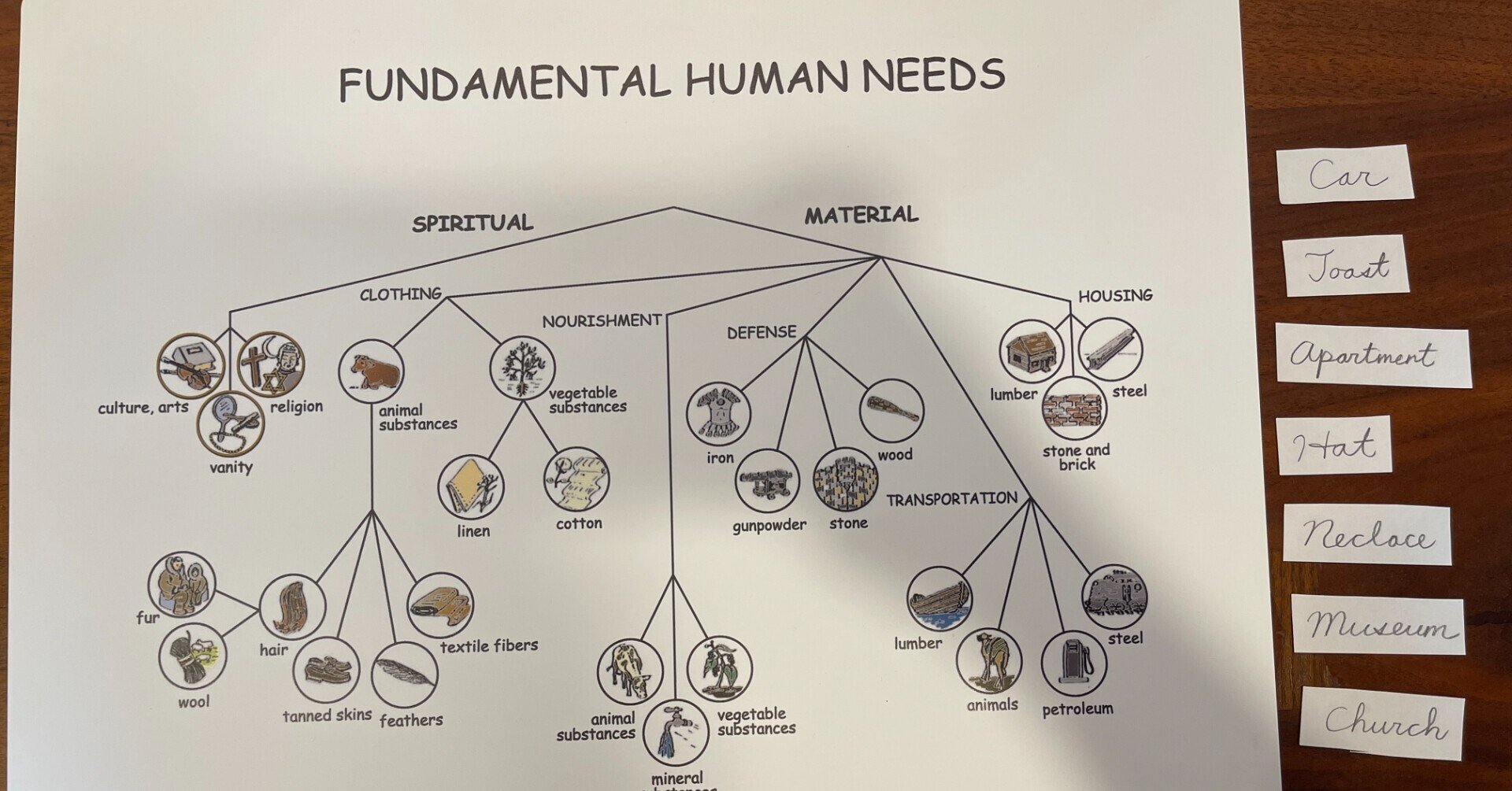 人間の基本的必要性（The Fundamental Needs of Human Beings