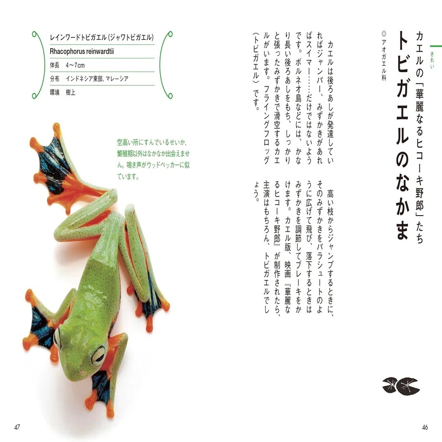プレゼントに最適な図鑑ができてしまった ヤマケイの本 Note