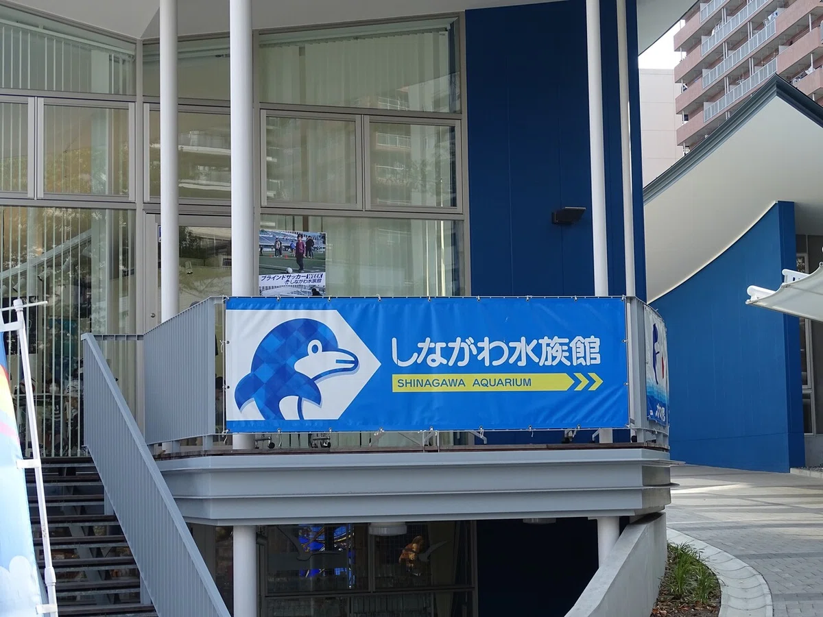 画像18
