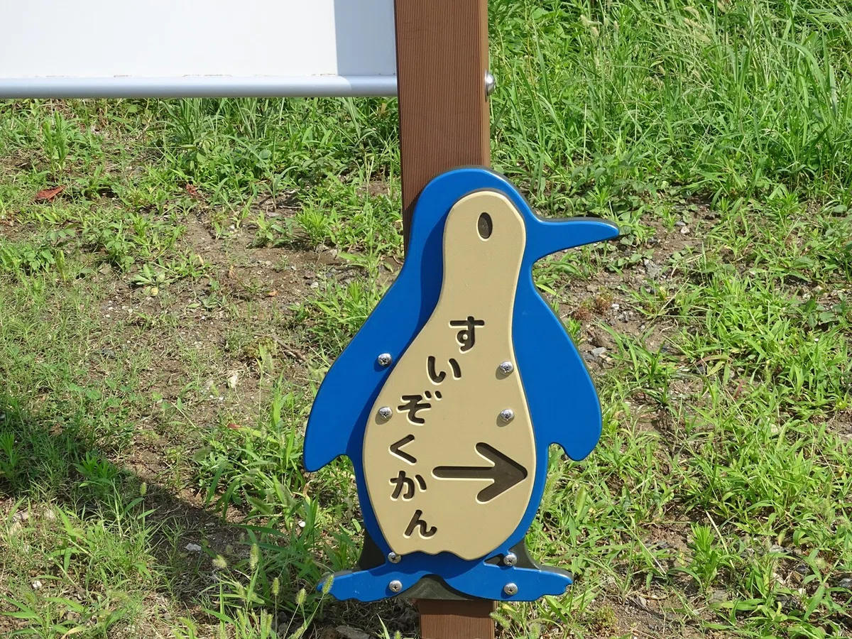 画像6