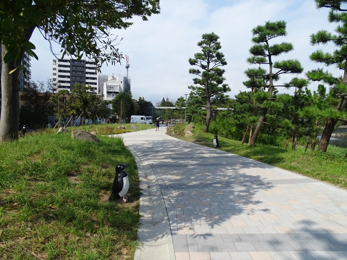 画像9