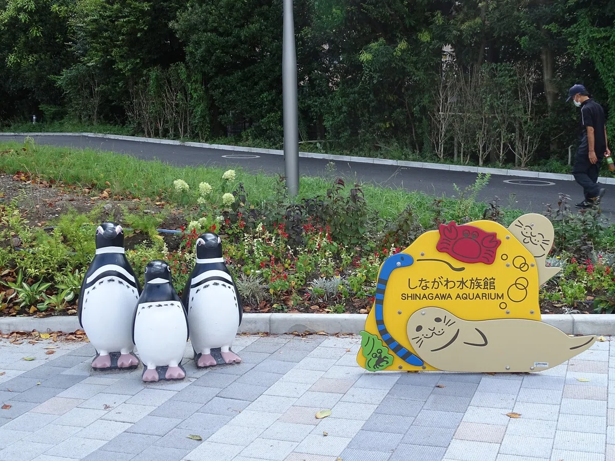 画像15