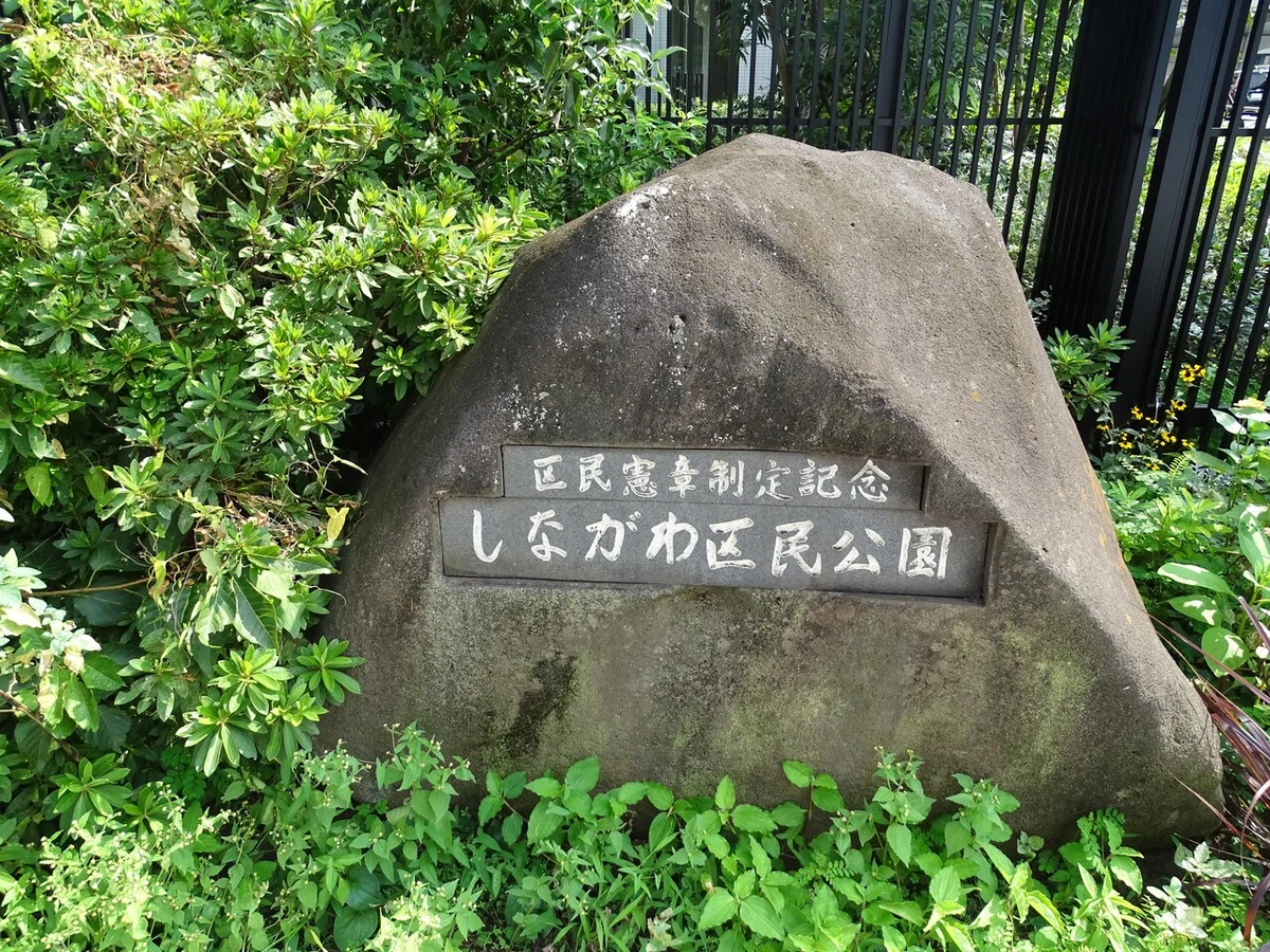 画像24