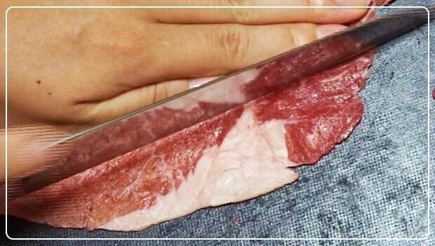 人用もペット用も ビーフジャーキーは手作りするとお得 フードドライヤーで作る失敗しないビーフジャーキーの作り方 ラボネクト株式会社 フードドライヤー 製粉機 ミル など食品加工器具取扱 Note