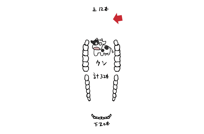 アセット 24xxxhdpi