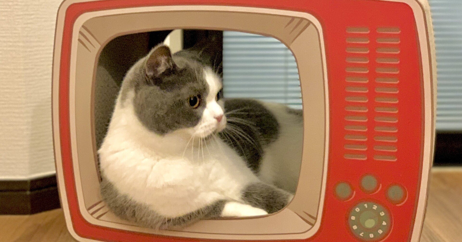 学校を休んだ時に見ると楽しい教育テレビ みゆ あなたにきゅん をお届け Note