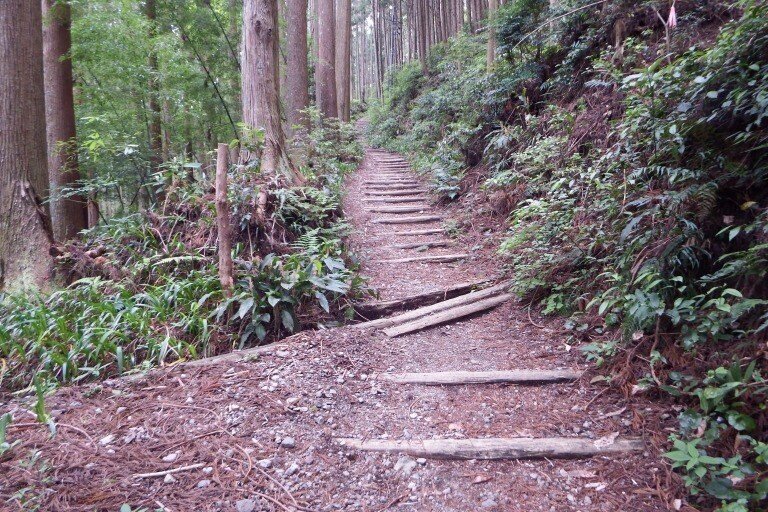 長く険しい登山道