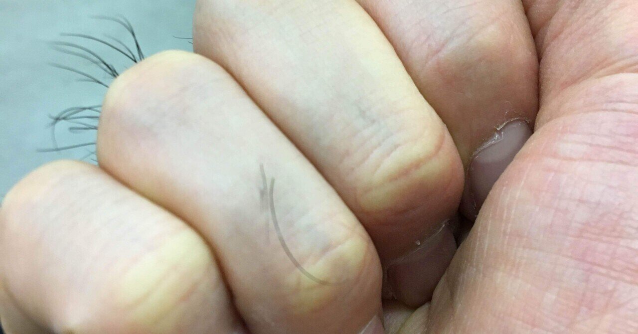 指の毛 の新着タグ記事一覧 Note つくる つながる とどける 指の毛 の新着タグ記事一覧 Note つくる つながる とどける