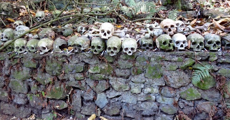 ディープなバリ島スポット【トゥルニャンの村】世界でも珍しい風葬とは