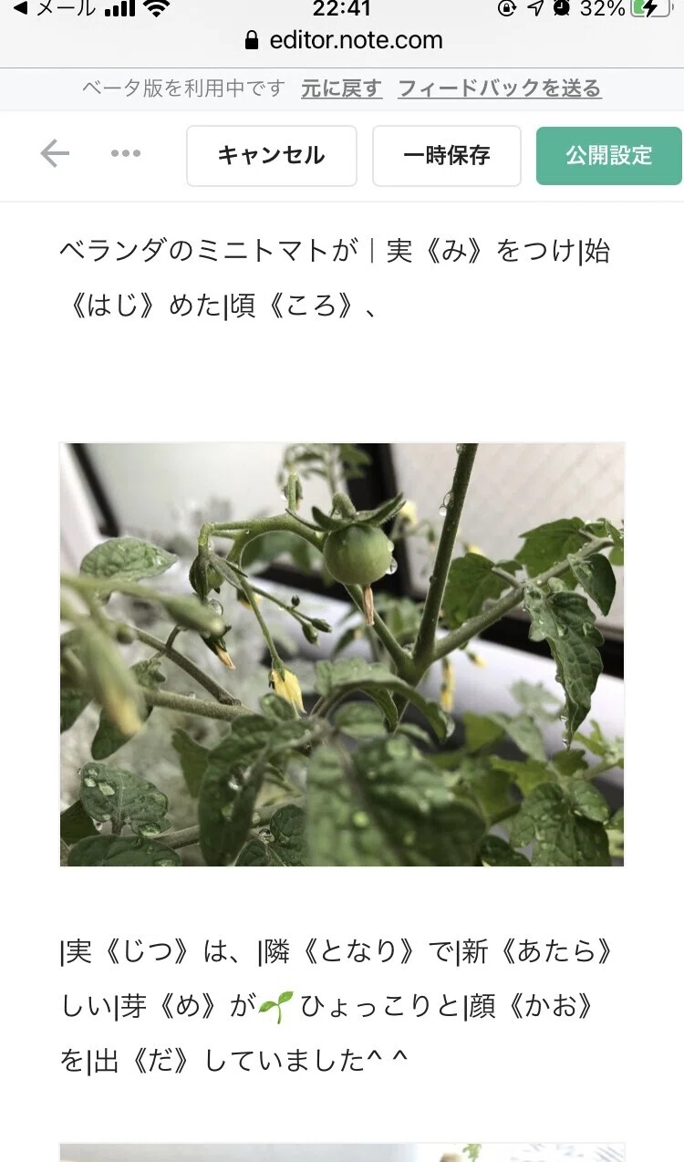 画像13