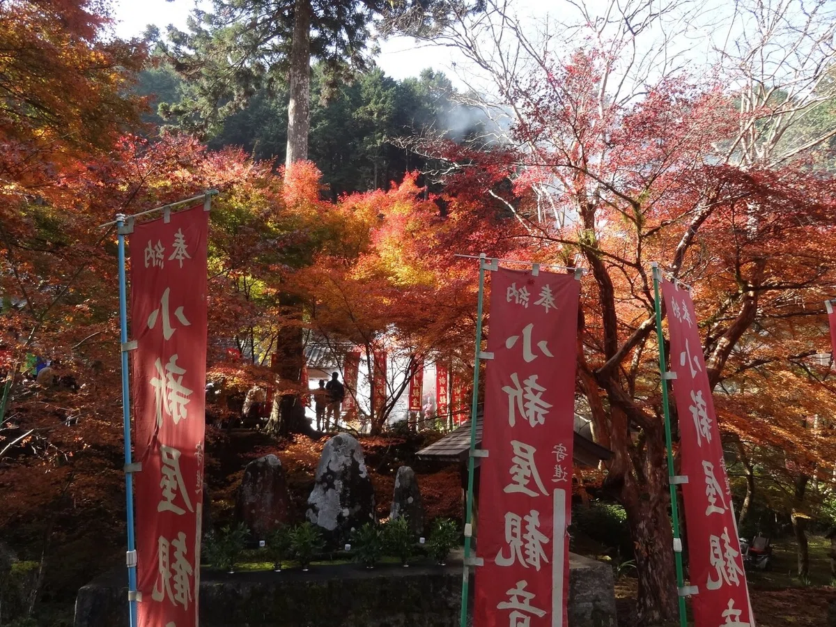 画像9