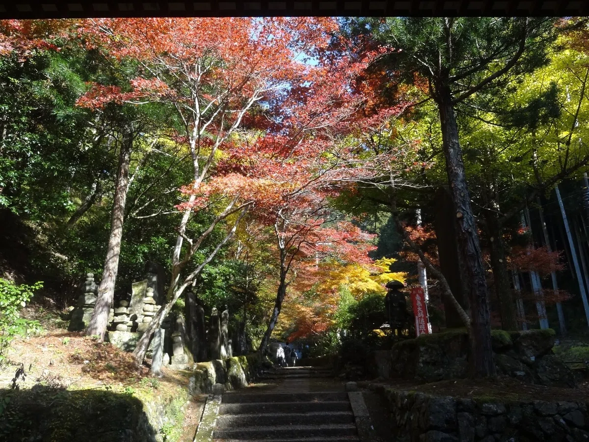 画像6
