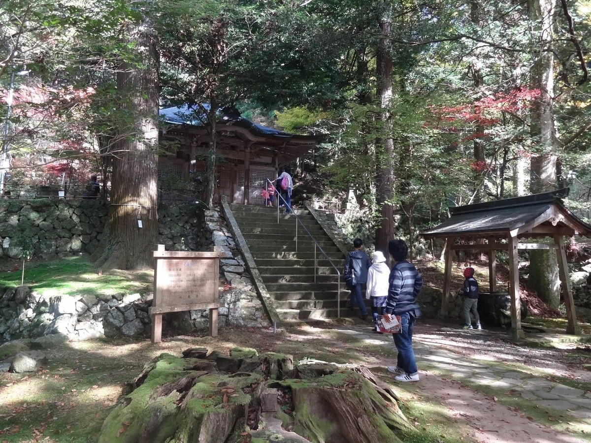 画像8