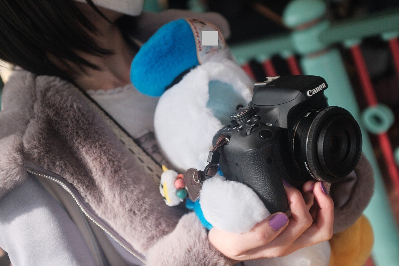 続・FUJIFILM X100Fを東京ディズニーリゾートでサブカメラとして 続・FUJIFILM X100Fを東京ディズニーリゾートでサブカメラとして
