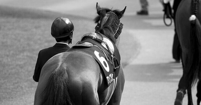 いよいよ秋競馬の始まり。中央に戻ってくる前に真夏のローカル２歳戦を振り返る。