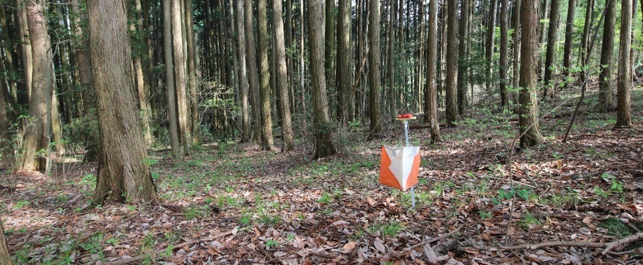 Ocadの使い方 Olt Wiki Atwiki アットウィキ