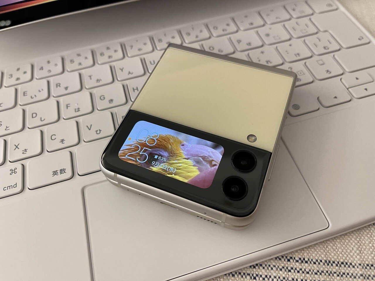 ガラケーっぽいパカパカもパワフルに！Galaxy Z Flip3も到着したのです