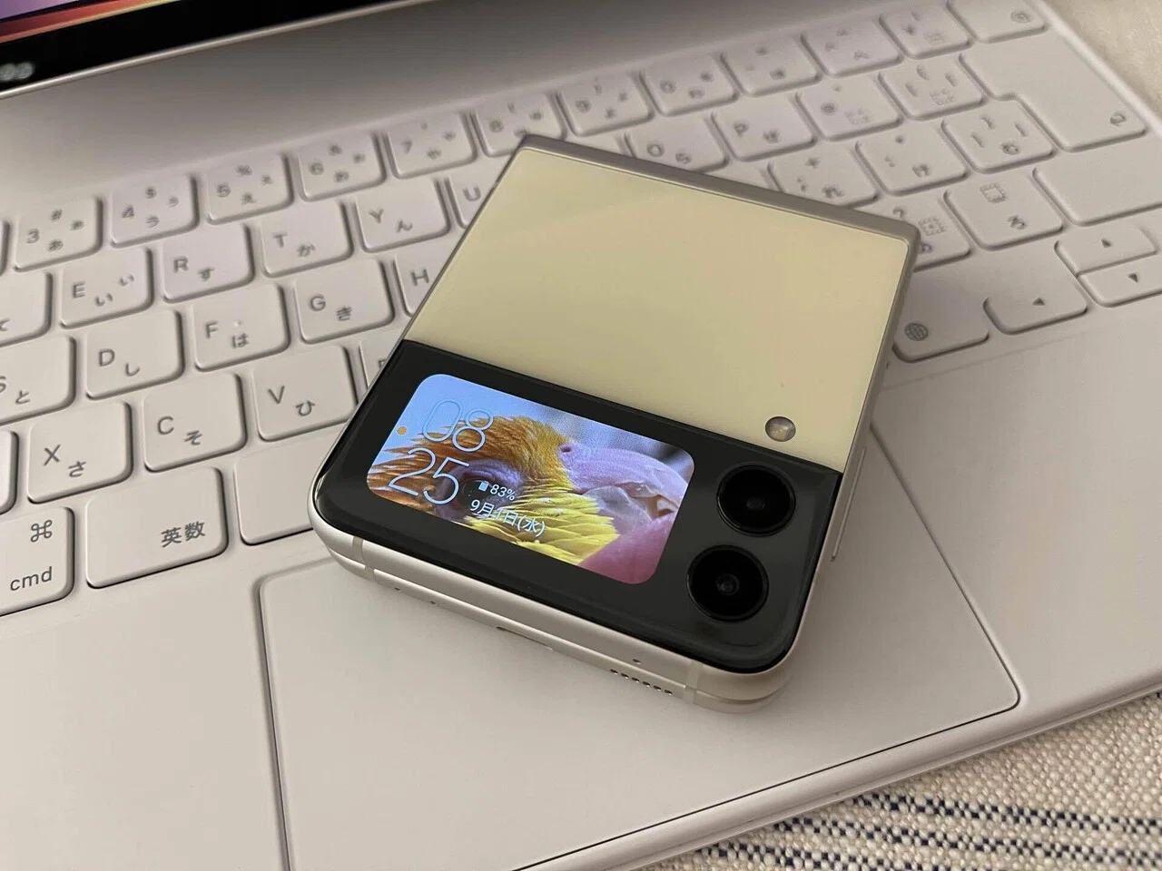 ガラケーっぽいパカパカもパワフルに Galaxy Z Flip3も到着したのですっ りんぽん Note ガラケーっぽいパカパカもパワフルに Galaxy Z Flip3も到着したのですっ りんぽん Note