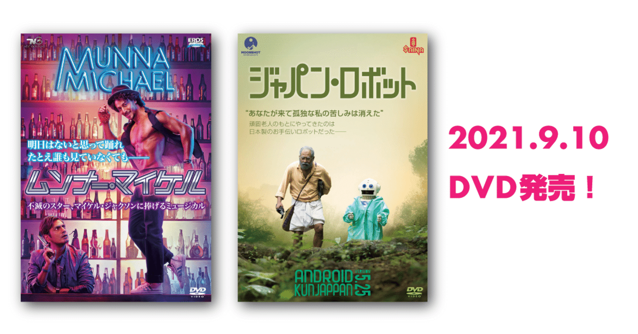 インドの仕置人('96インド) DVD