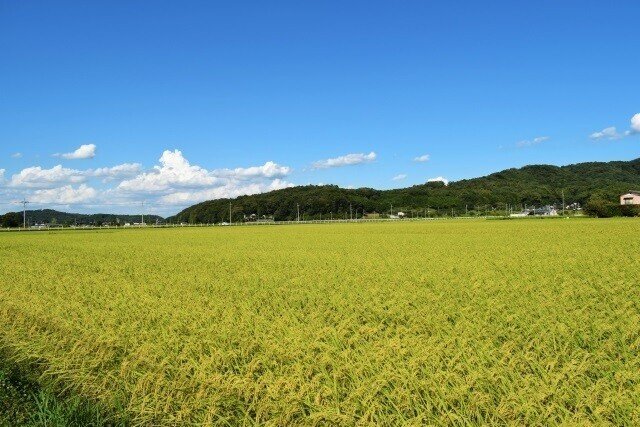 田園風景