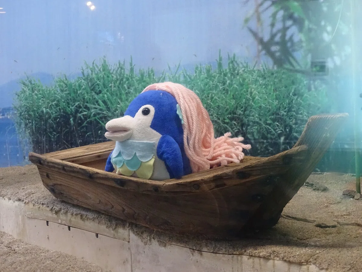 画像28