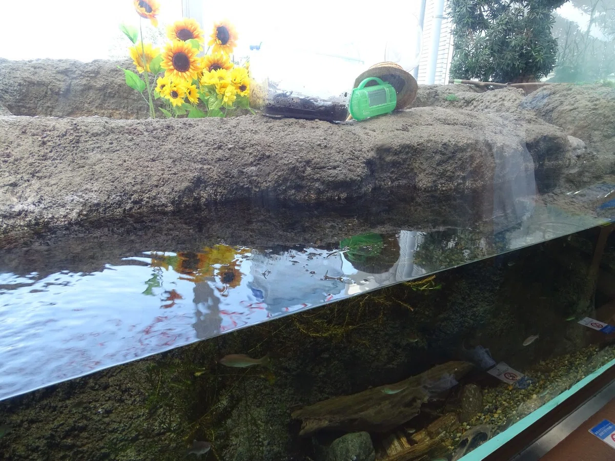 画像40