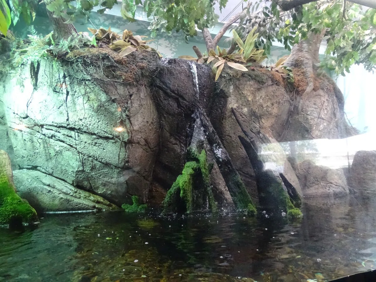 画像33