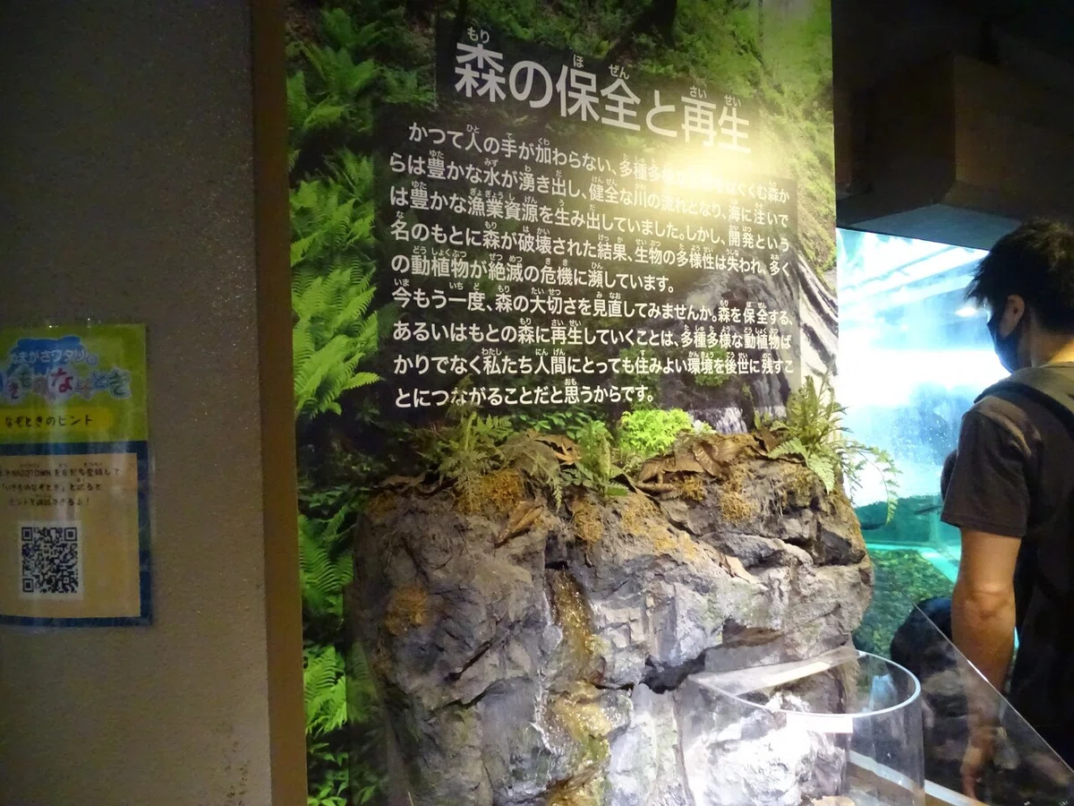 画像44